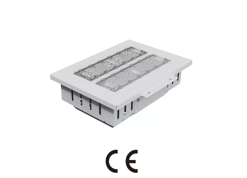 LED Canopy light CP-8008 50W/100W